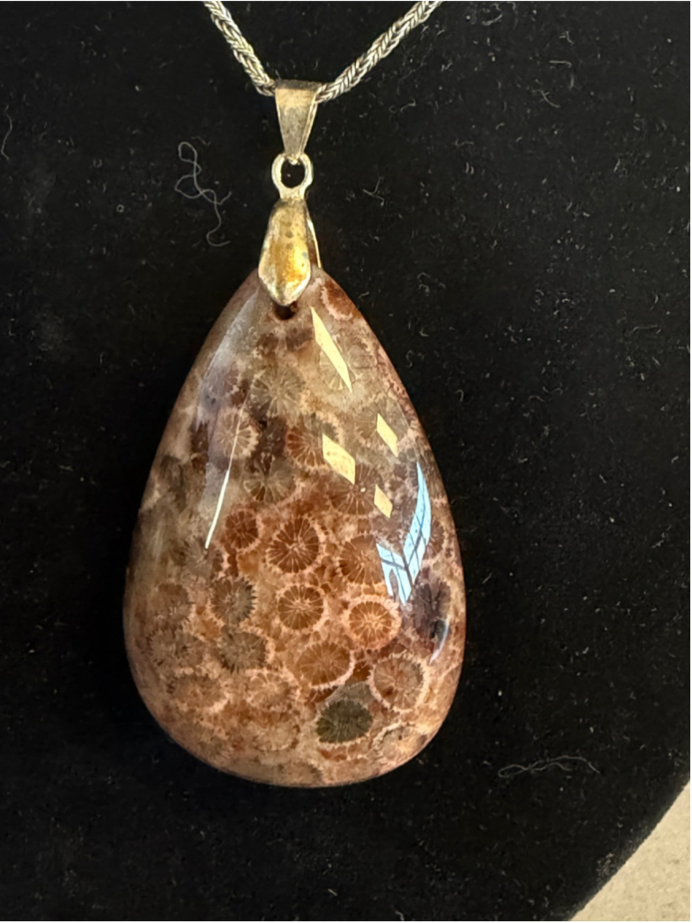 Natural Agatized Fossil Coral Teardrop Pendant Flower Stone Large Cabochon